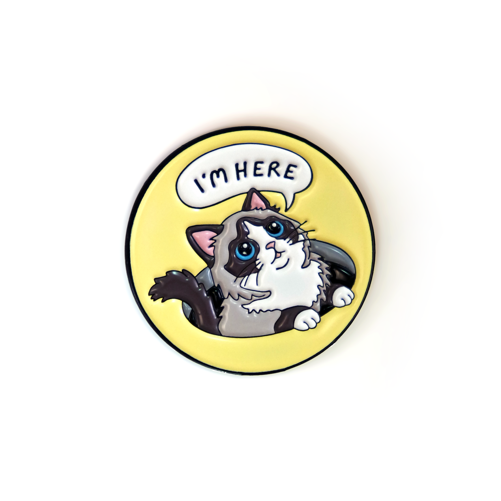 I'm Here - Ragdoll in the Hole